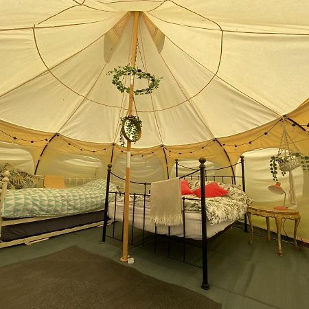 Secret Garden Glamping Otel Lymington Dış mekan fotoğraf