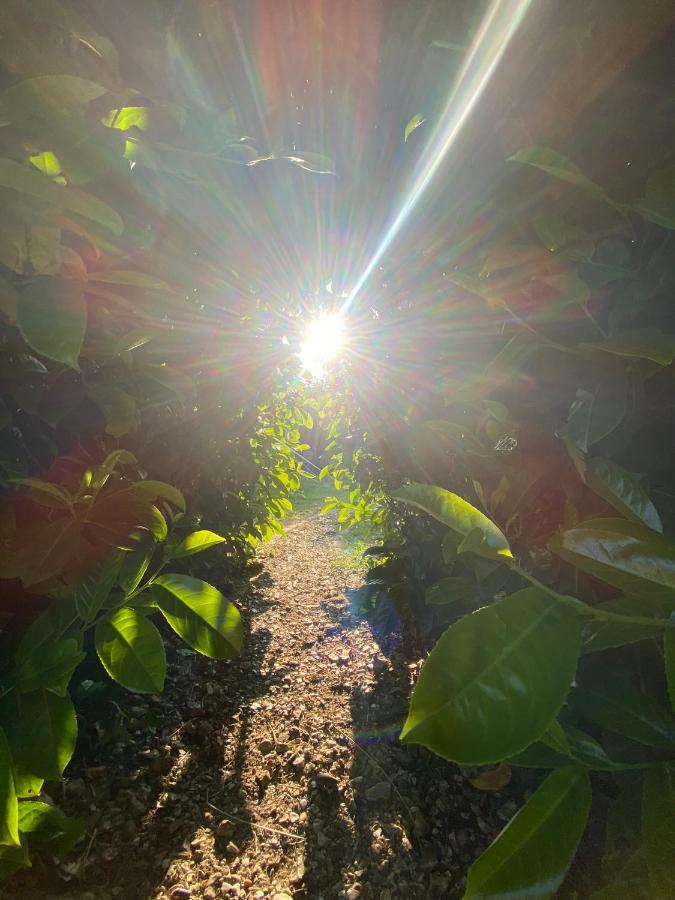 Secret Garden Glamping Otel Lymington Dış mekan fotoğraf